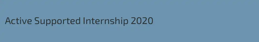 Active Supported Internship 2020